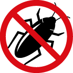 parabetes-insectes-rampants